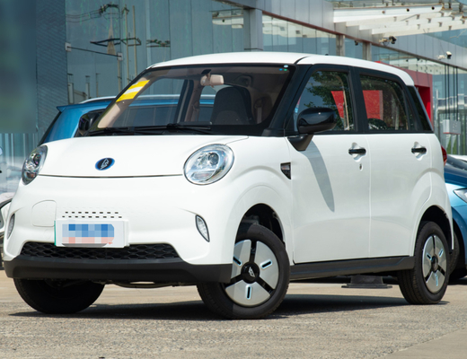 LINGBOX elektrischer Mini Cars 4 Sitzer mit 205KM Ausdauer, die Förster fährt