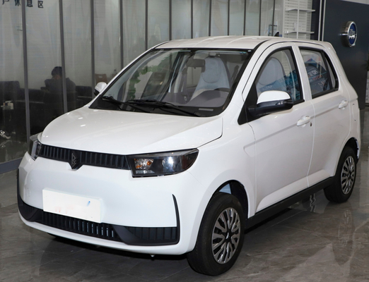 COCOS Eco freundliche Lithium-Batterie Elektroauto-100km/H für junge Leute