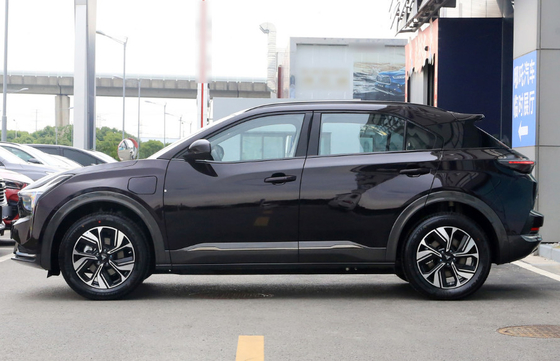 400km LFP Art kleines elektrisches SUV mit Lithium-Eisen-Phosphatbatterie
